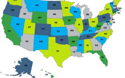 Navigating US State Data Breach Laws:  Reporting Requirements